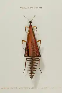 art image placeholder