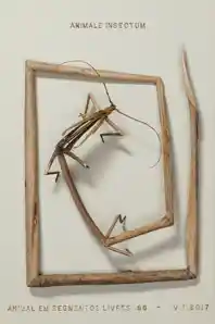 art image placeholder