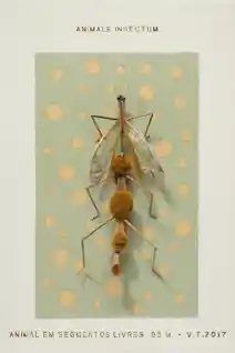 art image placeholder